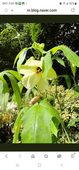 산삼님의 자유주제 · 자유게시판 작성글 사진