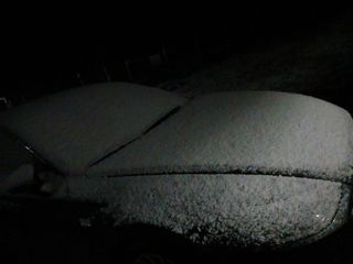 이상애초보농업님의 자유주제 · 자유게시판 작성글 사진