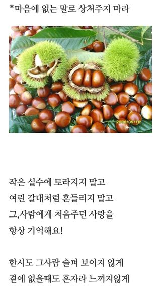 심수연님의 자유주제 · 자유게시판 작성글 사진