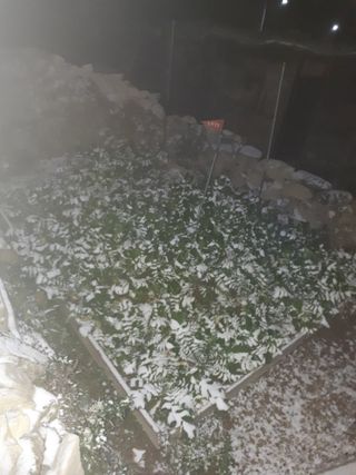 별빛을쫒는자님의 자유주제 · 자유게시판 작성글 사진