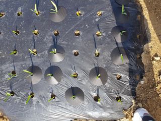 바이털사인님의 작성글 사진