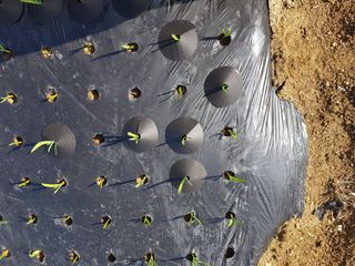 바이털사인님의 작성글 사진