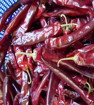 한상숙님의 작성글 사진