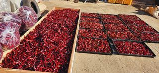 한상숙님의 작성글 사진