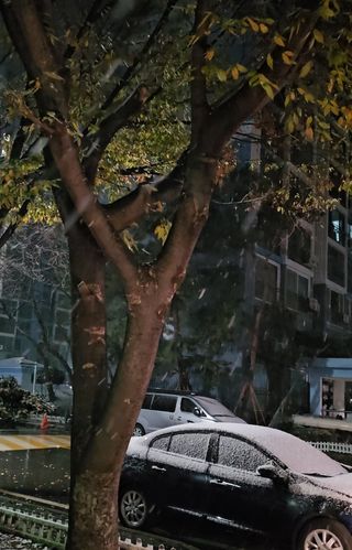 김지연님의 우리동네 · 동네수다 작성글 사진