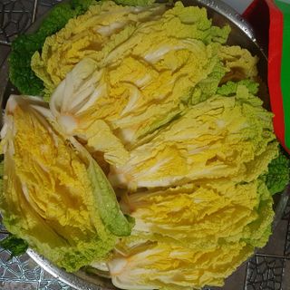 이소영님의 양배추 · 자유게시판 작성글 사진