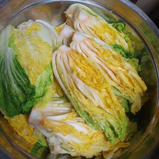 이소영님의 양배추 · 자유게시판 작성글 사진