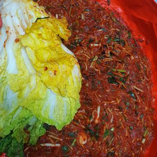 이소영님의 양배추 · 자유게시판 작성글 사진