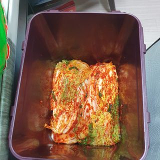 이소영님의 양배추 · 자유게시판 작성글 사진