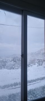 이 윤영님의 배추·결구기 농작업 작성글 사진