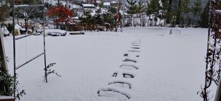 달맛햇복숭아농원님의 자유주제 · 사진전 작성글 사진