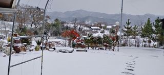 달맛햇복숭아농원님의 자유주제 · 사진전 작성글 사진
