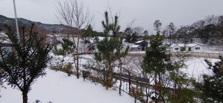 달맛햇복숭아농원님의 자유주제 · 사진전 작성글 사진