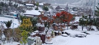 달맛햇복숭아농원님의 자유주제 · 사진전 작성글 사진