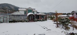 달맛햇복숭아농원님의 자유주제 · 사진전 작성글 사진