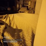 팜모닝 자유주제·자유게시판 게시글 이미지