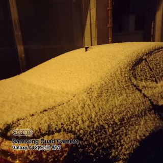 최동구님의 자유주제 · 자유게시판 작성글 사진