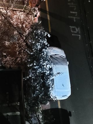 순수네농장님의 자유주제 · 자유게시판 작성글 사진