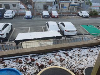 주*희님의 자유주제 · 자유게시판 작성글 사진