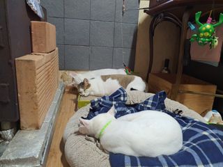 주*희님의 자유주제 · 자유게시판 작성글 사진