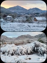 팜모닝 자유주제·자유게시판 게시글 이미지