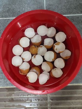 정찬영님의 자유주제 · 자유게시판 작성글 사진