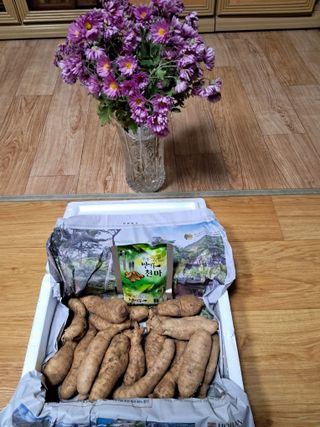 낙엽교목류21691님의 최근 산 물건을 알려주세요! · 참여글 작성글 사진