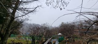 달방구님의 자유주제 · 자유게시판 작성글 사진