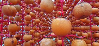 백용기님의 자유주제 · 자유게시판 작성글 사진