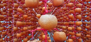 백용기님의 자유주제 · 자유게시판 작성글 사진