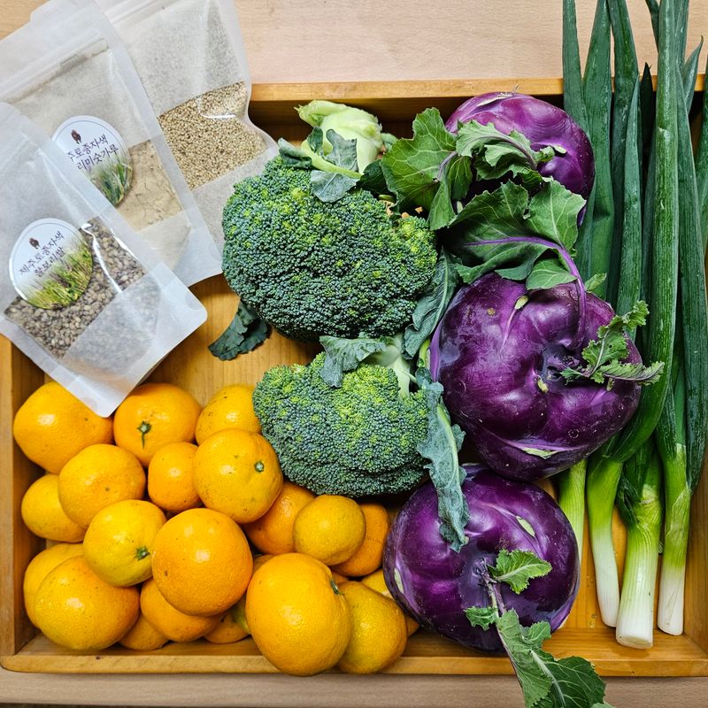 장터 상품 [제주의 겨울야채 꾸러미] 썸네일