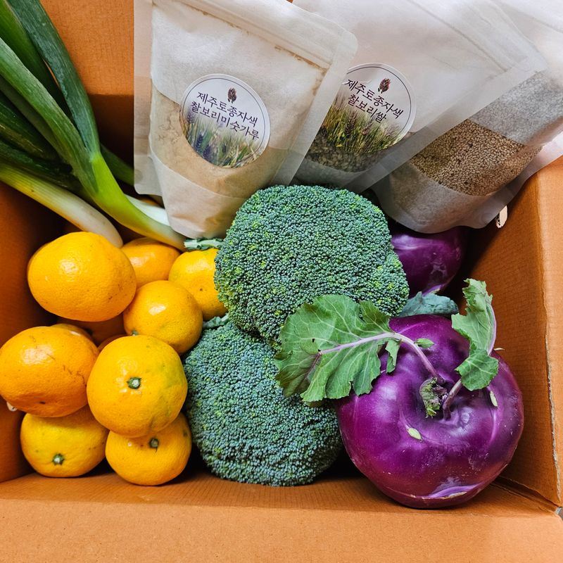 제주대정 방점순님의 장터 판매 상품 [제주의 겨울야채 꾸러미] 첨부 사진