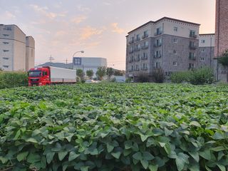 임종옥(용인백암)님의 콩 · 자유게시판 작성글 사진