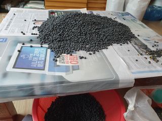 임종옥(용인백암)님의 콩 · 자유게시판 작성글 사진