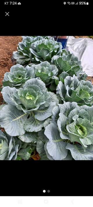 김호님의 최근 산 물건을 알려주세요! · 참여글 작성글 사진