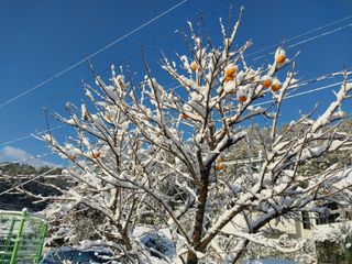 금동이네님의 자유주제 · 자유게시판 작성글 사진