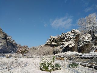 금동이네님의 자유주제 · 자유게시판 작성글 사진