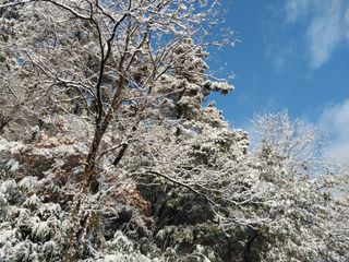 금동이네님의 자유주제 · 자유게시판 작성글 사진