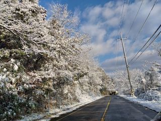 금동이네님의 자유주제 · 자유게시판 작성글 사진