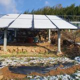 팜모닝 자유주제·자유게시판 게시글 이미지