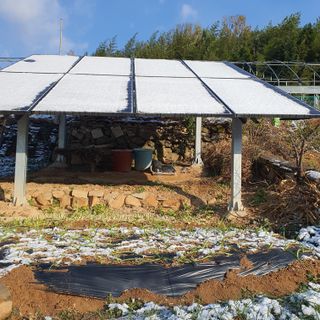 천농부님의 자유주제 · 자유게시판 작성글 사진