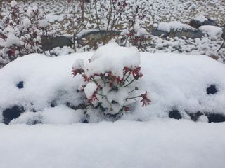 자두20879님의 자유주제 · 자유게시판 작성글 사진