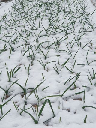 자두20879님의 자유주제 · 자유게시판 작성글 사진