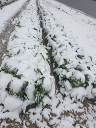 자두20879님의 자유주제 · 자유게시판 작성글 사진