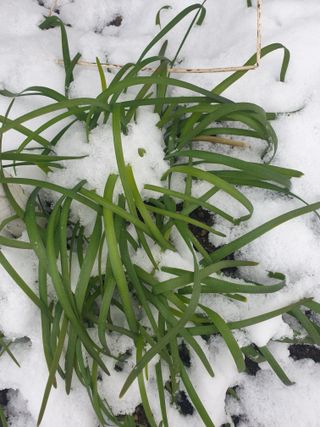 자두20879님의 자유주제 · 자유게시판 작성글 사진