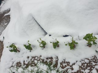 자두20879님의 자유주제 · 자유게시판 작성글 사진