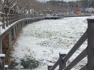 자두20879님의 자유주제 · 자유게시판 작성글 사진