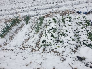 자두20879님의 자유주제 · 자유게시판 작성글 사진