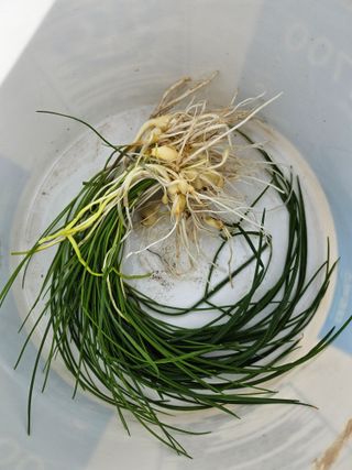 이용일님의 기타작물 · 자유게시판 작성글 사진