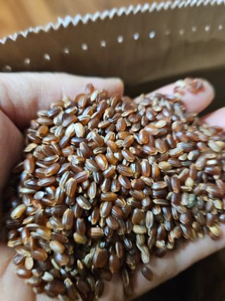 시금치15102님의 최근 산 물건을 알려주세요! · 참여글 작성글 사진